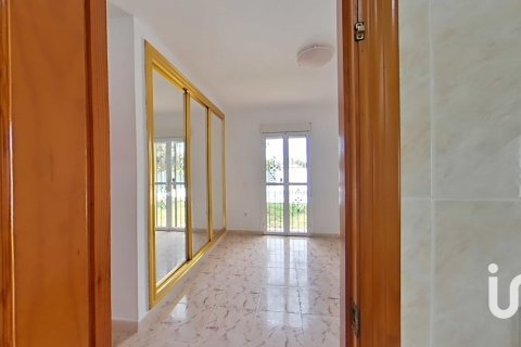 Продажа дома в Чиклана-де-ла-Фронтера, Кадис, Испания 3 спальни, 131м2 №153222 - фото 23