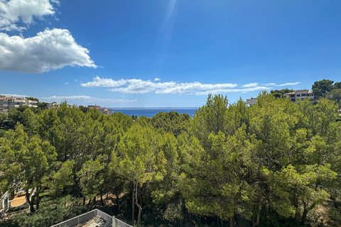 Wohnung zum Verkauf in Mallorca, Spanien 3 Schlafzimmer, 173 m2 Nr. 147794 - Foto 28