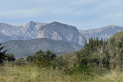 Villa zum Verkauf in Santa Maria Del Cami, Mallorca, Spanien 4 Schlafzimmer, 490 m2 Nr. 147793 - Foto 8