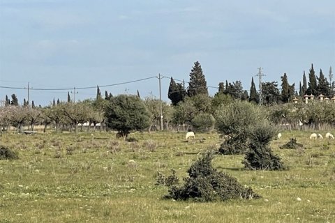 Villa zum Verkauf in Santa Maria Del Cami, Mallorca, Spanien 4 Schlafzimmer, 490 m2 Nr. 147793 - Foto 15