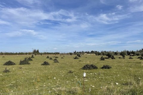 Villa zum Verkauf in Santa Maria Del Cami, Mallorca, Spanien 4 Schlafzimmer, 490 m2 Nr. 147793 - Foto 14