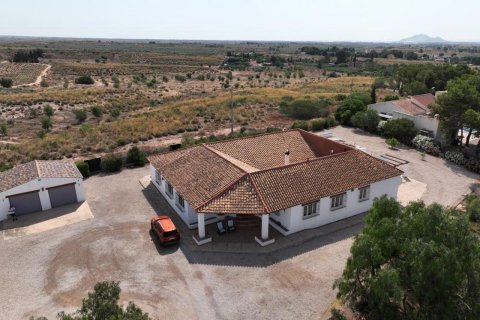 Villa à vendre à Gea Y Truyols, Murcia, Espagne, 4 chambres, 420 m2 No. 161535 - photo 13