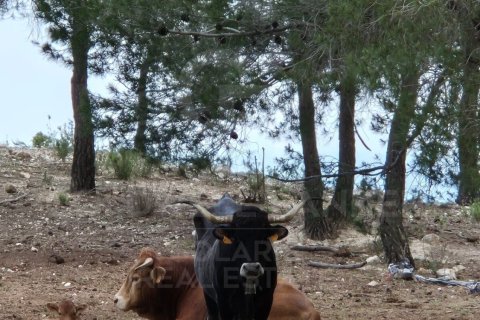 Huvila myytävänä Polop, Alicante, Espanja , 1000 m2 No. 158887 - kuva 12