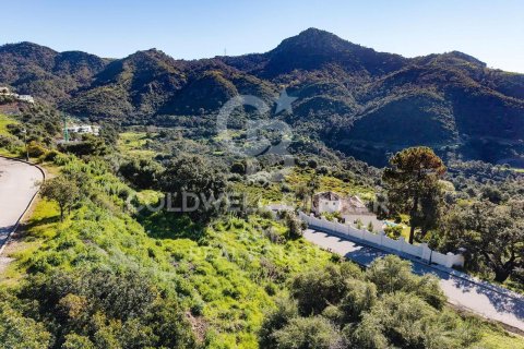 Villa till salu i Benahavis, Malaga, Spanien 5 sovrum, 375 kvm. Nr. 158886 - foto 18