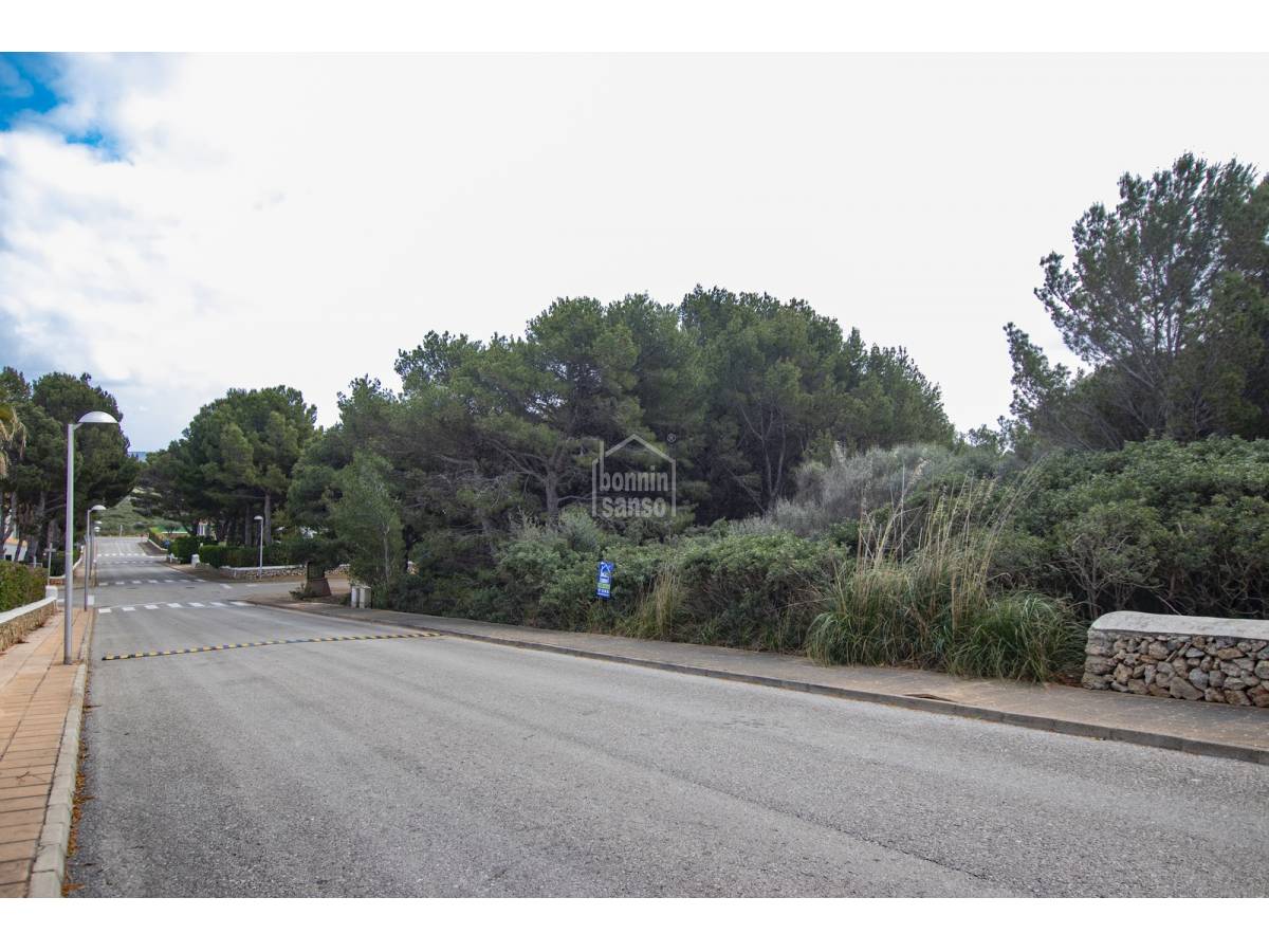 Land in Es Mercadal, Menorca, Spanien Nr. 65221