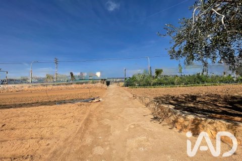 Parcela en venta en Torredembarra, Tarragona, España 9645 m2 No. 188240 - foto 16