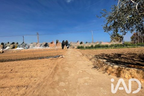 Parcela en venta en Torredembarra, Tarragona, España 9645 m2 No. 188240 - foto 17