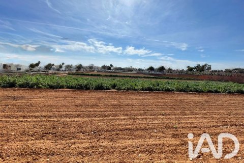 Parcela en venta en Torredembarra, Tarragona, España 9645 m2 No. 188240 - foto 14