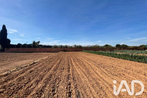 Parcela en venta en Torredembarra, Tarragona, España 9645 m2 No. 188240 - foto 15