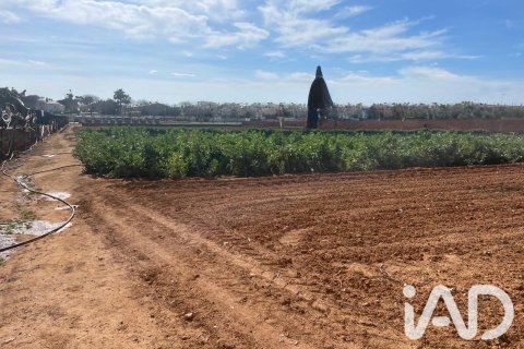 Parcela en venta en Torredembarra, Tarragona, España 9645 m2 No. 188240 - foto 12