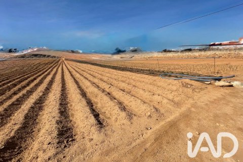 Parcela en venta en Torredembarra, Tarragona, España 9645 m2 No. 188240 - foto 13