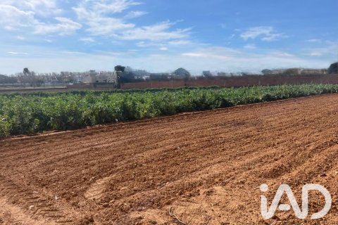 Parcela en venta en Torredembarra, Tarragona, España 9645 m2 No. 188240 - foto 19