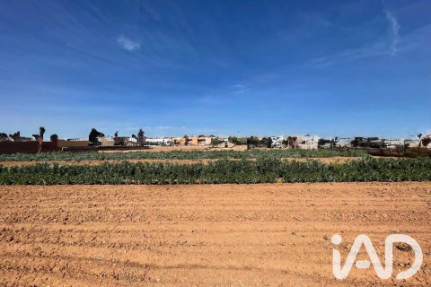 Parcela en venta en Torredembarra, Tarragona, España 9645 m2 No. 188240 - foto 18