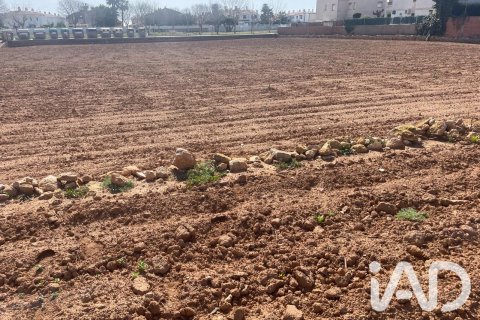 Parcela en venta en Torredembarra, Tarragona, España 9645 m2 No. 188240 - foto 7