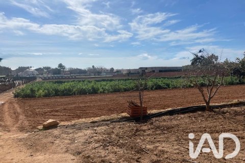 Parcela en venta en Torredembarra, Tarragona, España 9645 m2 No. 188240 - foto 10