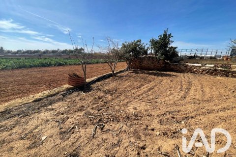 Parcela en venta en Torredembarra, Tarragona, España 9645 m2 No. 188240 - foto 8
