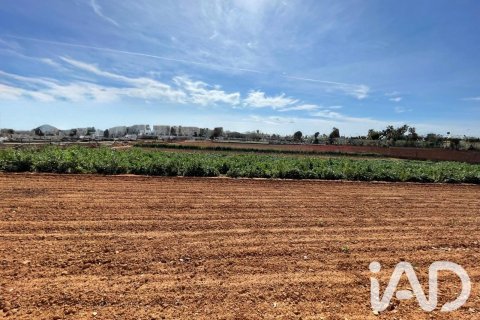 Parcela en venta en Torredembarra, Tarragona, España 9645 m2 No. 188240 - foto 6