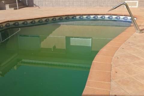 Villa pārdošanā Pilar de la Horadada, Alicante, Spānijā 4 istabas, 368 m2 Nr. 144630 - attēls 7