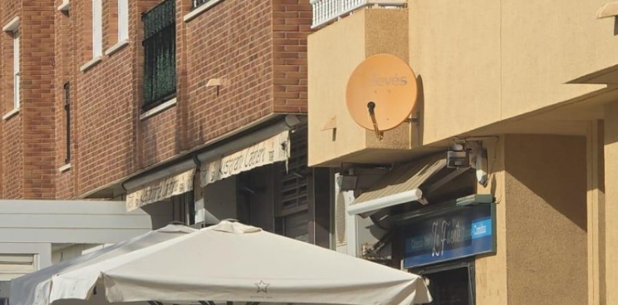 Kommersiell fastighet i Pilar de la Horadada, Alicante, Spanien 3 sovrum, 260 kvm. Nr. 144629