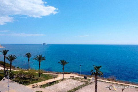 Lägenhet till salu i Villajoyosa, Alicante, Spanien 2 sovrum, 101 kvm. Nr. 186904 - foto 9