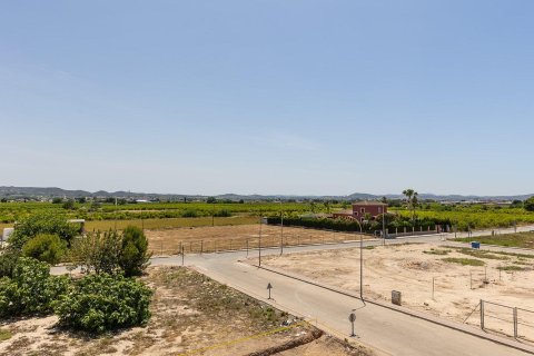 Māja pārdošanā Rafal, Alicante, Spānijā 3 istabas, 188 m2 Nr. 166625 - attēls 30