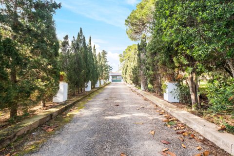Villa in affitto Cala Ratjada, Mallorca, Spagna 6 camere da letto, 711 mq. N° 138840 - foto 19