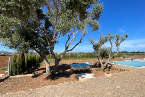 Finca in affitto Muro, Mallorca, Spagna 3 camere da letto, 150 mq. N° 138842 - foto 4