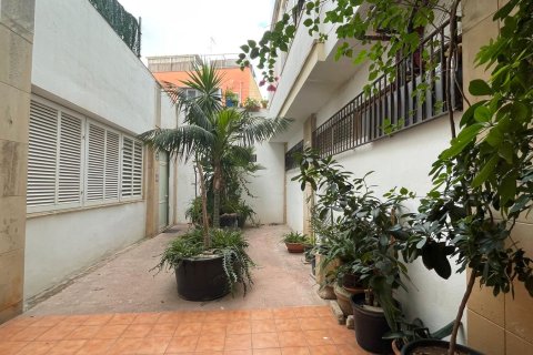 Appartamento in affitto Can Pastilla, Mallorca, Spagna 3 camere da letto, 78 mq. N° 138845 - foto 11