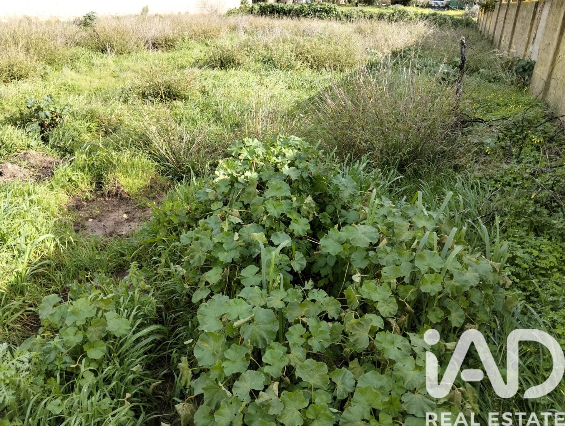 Land plot à Sanlucar de Barrameda, Cadiz, Espagne 1049 m2 No. 185226