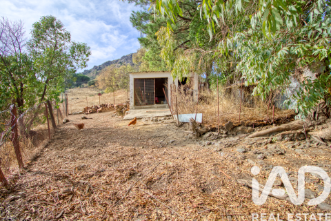 House à vendre à Gaucin, Malaga, Espagne, 4 chambres,  No. 152720 - photo 23
