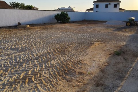 Land plot à vendre à Canada Rosal, Seville, Espagne, 736 m2 No. 185624 - photo 2
