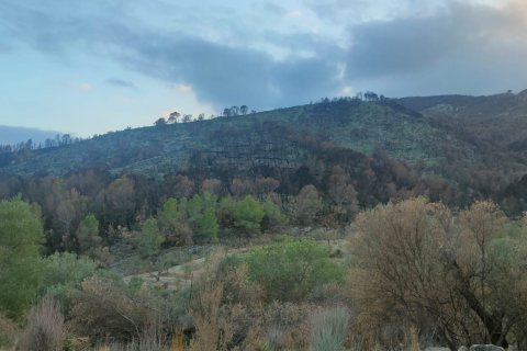 Terreno a Xerta, Tarragona, Spagna 61171 mq. N° 185627