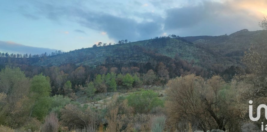 Land plot in Xerta, Tarragona, Spain 61171 sq.m. No. 185627