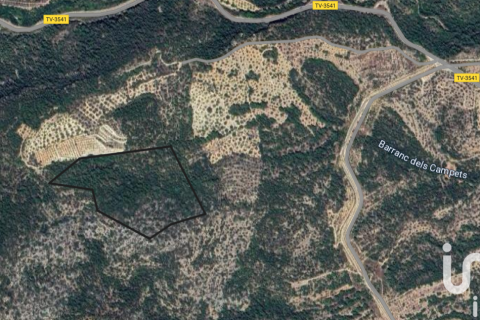 Land plot for sale in Xerta, Tarragona, Spain 61171 sq.m. No. 185627 - photo 2