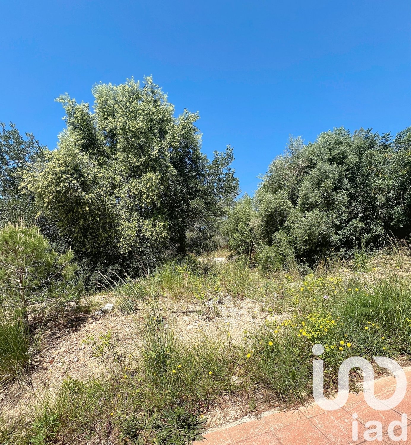 Land plot à Sant Pere de Ribes, Barcelona, Espagne 483 m2 No. 153520