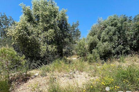 Terreno in vendita a Sant Pere de Ribes, Barcelona, Spagna 483 mq. N° 153520 - foto 7