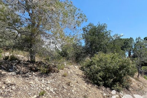 Terreno in vendita a Sant Pere de Ribes, Barcelona, Spagna 483 mq. N° 153520 - foto 6