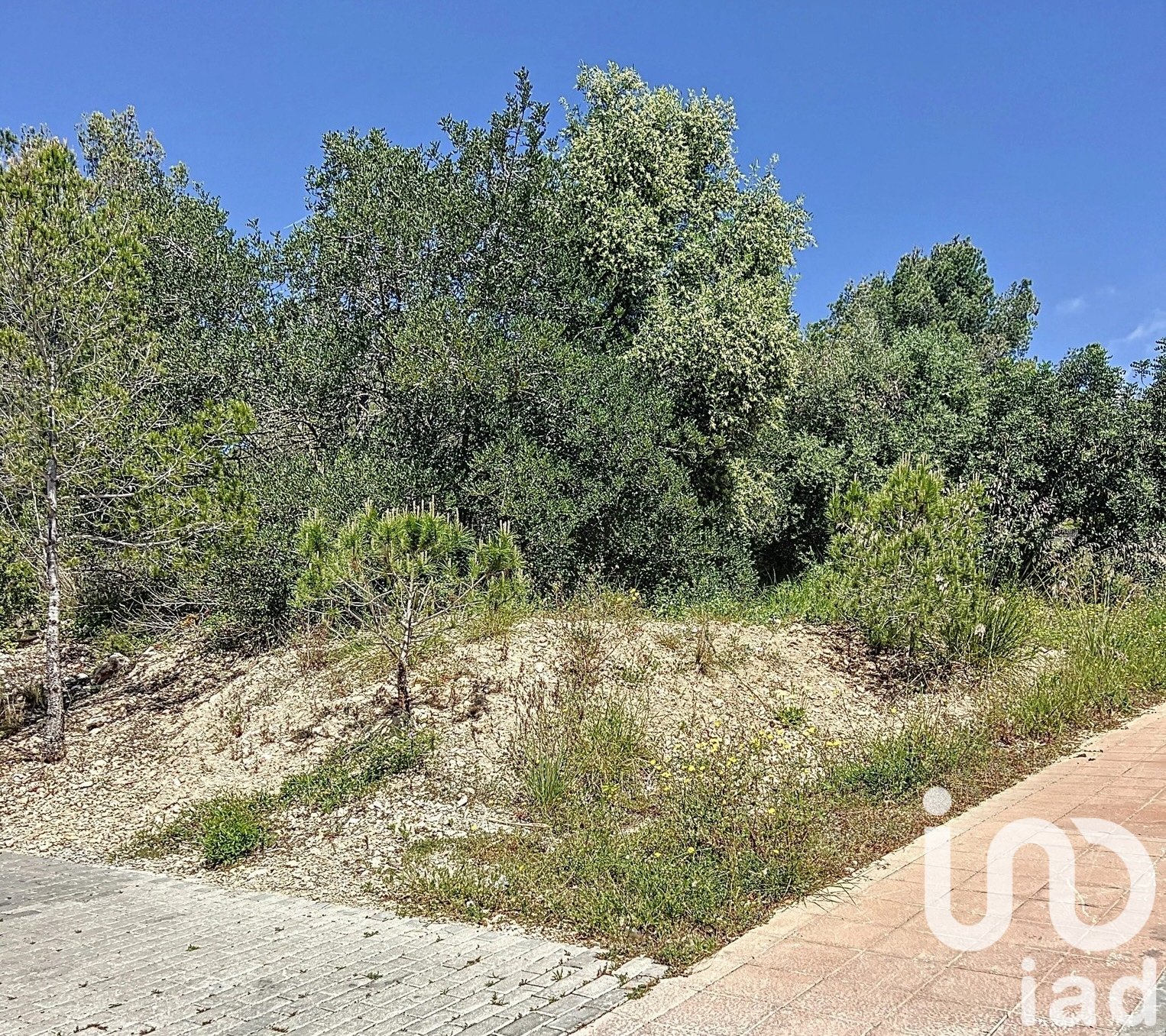 Land plot à Sant Pere de Ribes, Barcelona, Espagne 483 m2 No. 153520