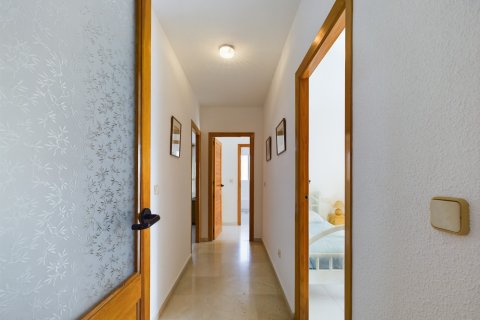 Penthauss pārdošanā Los Alcazares, Murcia, Spānijā 4 istabas,  Nr. 167593 - attēls 13