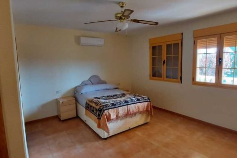 Villa pārdošanā Calasparra, Murcia, Spānijā 5 istabas, 240 m2 Nr. 189074 - attēls 20