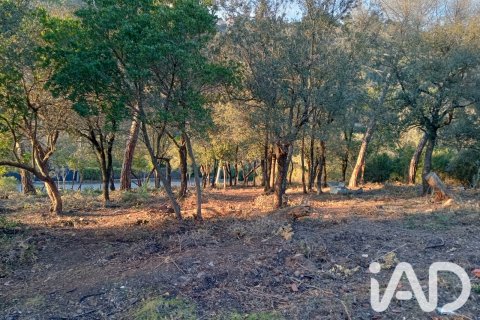 Land zum Verkauf in Vacarisses, Barcelona, Spanien 2274 m2 Nr. 192220 - Foto 4