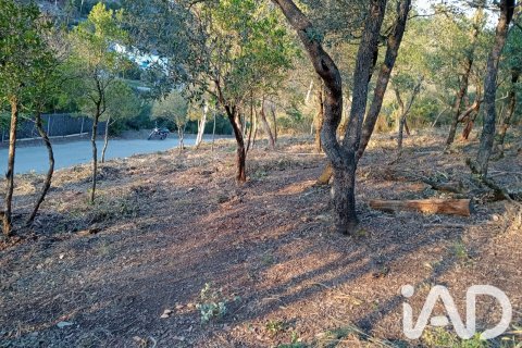Land zum Verkauf in Vacarisses, Barcelona, Spanien 2274 m2 Nr. 192220 - Foto 2
