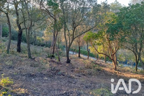 Land zum Verkauf in Vacarisses, Barcelona, Spanien 2274 m2 Nr. 192220 - Foto 3