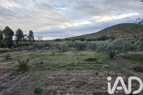 Māja pārdošanā Calasparra, Murcia, Spānijā 3 istabas, 140 m2 Nr. 173201 - attēls 24