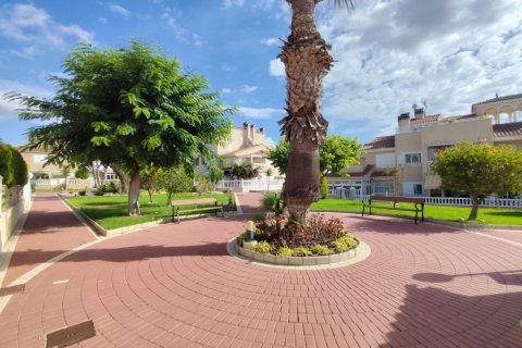 Apartament Alicante, Hiszpania 2 sypialnie, 74 mkw. nr 137969 – zdjęcie 24