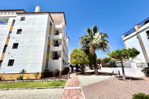 Apartamento en venta en Villamartin, Alicante, España 2 dormitorios, 60 m2 No. 189982 - foto 8