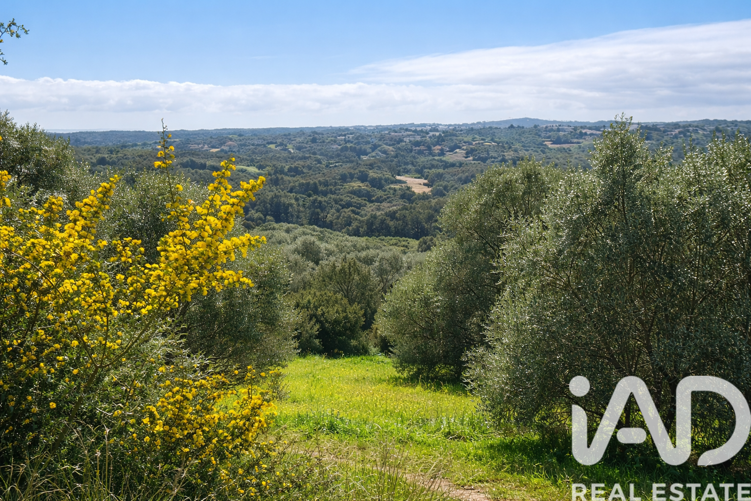 Terreno a Sotogrande, Cadiz, Spagna 3376 mq. N° 172734