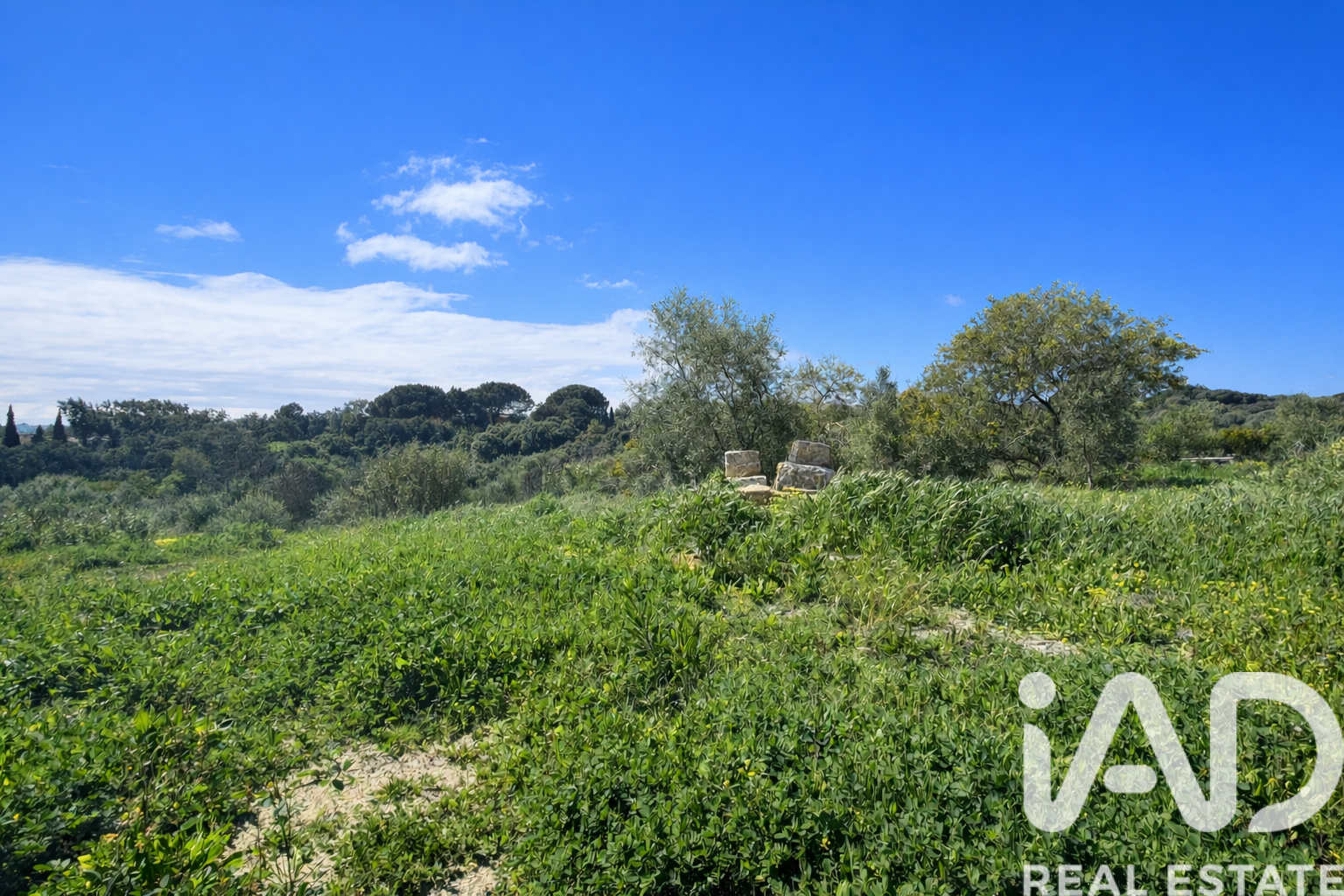 Terreno a Sotogrande, Cadiz, Spagna 3376 mq. N° 172734
