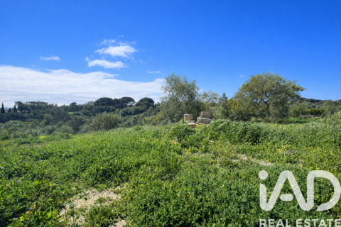 Land plot for sale in Sotogrande, Cadiz, Spain 3376 sq.m. No. 172734 - photo 4