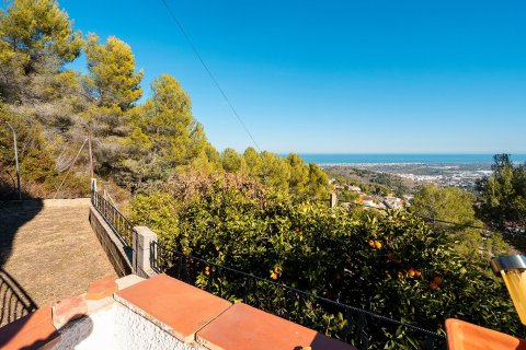 Villa à vendre Oliva, Valencia, Espagne, 3 chambres, 262 m2 No. 114732 - photo 2